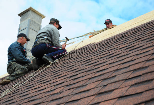 Quick and Trustworthy Emergency Roof Repair Services in Fife, WA