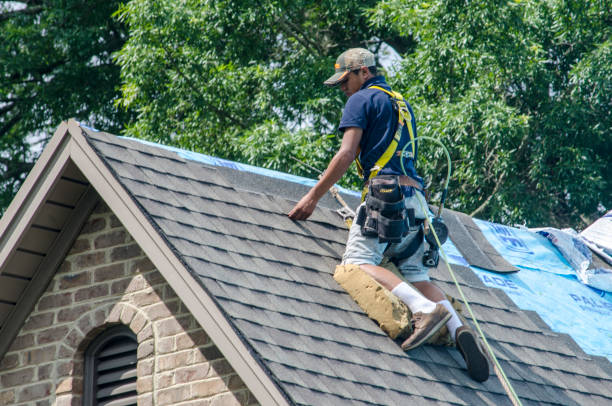 Best New Roof Installation  in Fife, WA
